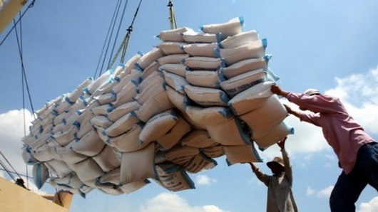 Năm 2023, xuất khẩu gạo cả nước đạt kỷ lục 8,13 triệu tấn