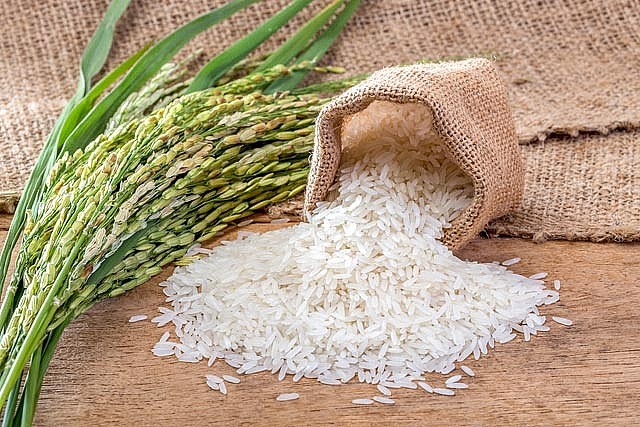 Giá lúa gạo hôm nay ngày 12/1: Giá gạo giảm, giá lúa vẫn neo cao.