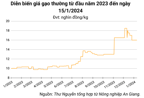 Giá lúa gạo hôm nay ngày 15/1: Duy trì ổn định, giao dịch sôi động phiên đầu tuần