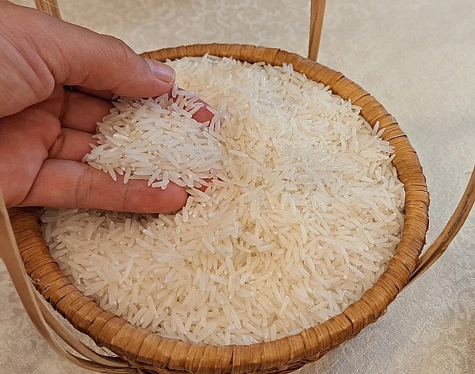 Giá lúa gạo duy trì ổn định.