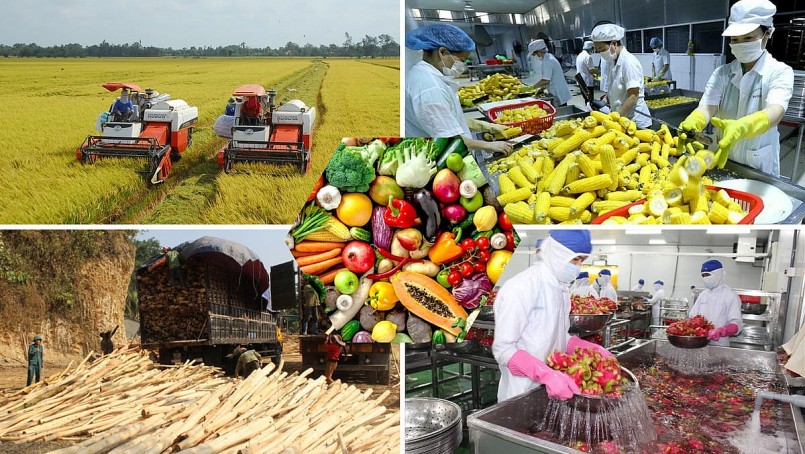 Hướng đến mục tiêu xuất khẩu sản phẩm trồng trọt trên 26 tỷ USD