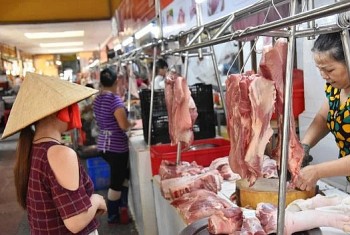 Heo nhập lậu ồ ạt vào Việt Nam, người chăn nuôi Đồng Nai cầu cứu Thủ tướng