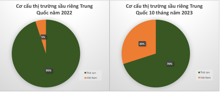 Thị phần sầu riêng Việt tại thị trường Trung Quốc tăng mạnh (Đồ họa: Tâm An)