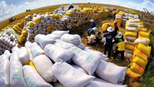 Năm 2023, Philippines vẫn là thị trường lớn nhất của gạo Việt