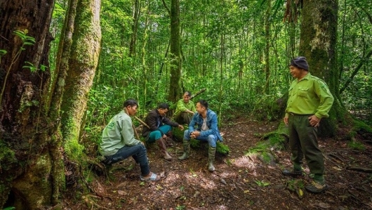 Lâm Đồng công nhận Điểm du lịch “Vườn Quốc gia Bidoup - Núi Bà”