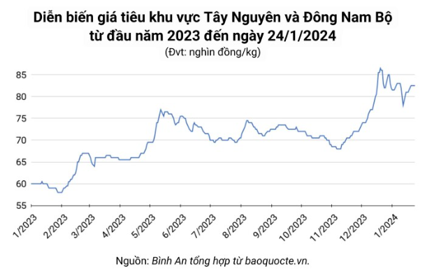 Giá nông sản ngày 24/1/2024: Giá tiêu tăng 500 đồng, giá cà phê quay đầu giảm