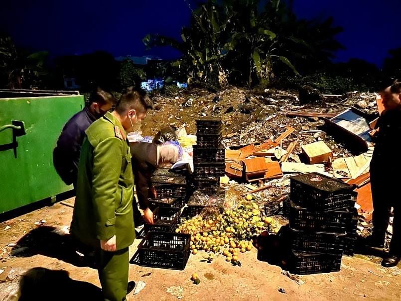 Thái Nguyên: Buộc tiêu hủy 6 tấn hoa quả nhập lậu
