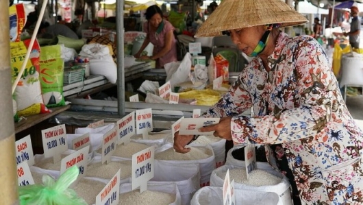Doanh nghiệp thu mua cầm chừng, giá gạo trong nước liên tục giảm mạnh