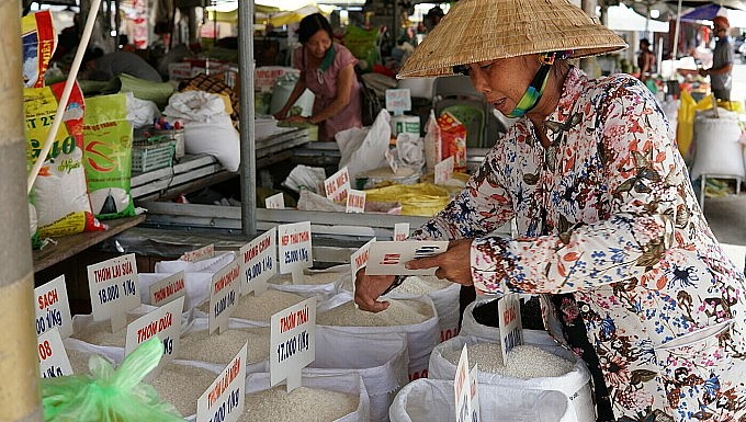 Doanh nghiệp thu mua cầm chừng, giá gạo trong nước liên tục giảm mạnh. Ảnh: Ngọc Tài