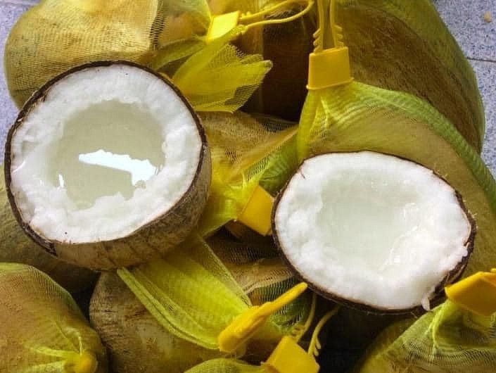 Dừa sáp là đặc sản duy nhất chỉ có ở Trà Vinh, giá dao động từ 60.000 tới 180.000 đồng/quả.