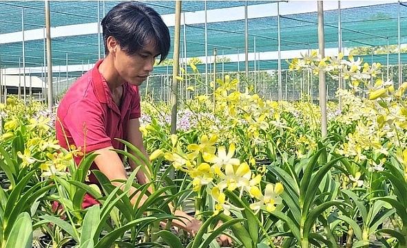 Anh Phạm Thành Tài tại thôn Tân Lễ A, xã Châu Pha, thị xã Phú Mỹ, tỉnh Bà Rịa-Vũng Tàu, chăm sóc vườn lan.