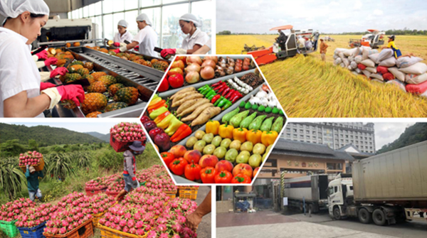 Trung Quốc vẫn là thị trường xuất khẩu nông sản lớn nhất của Việt Nam