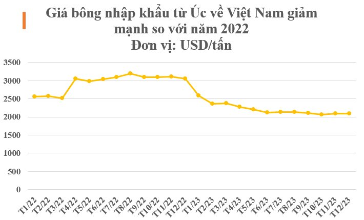 Việt Nam chi 2,8 tỷ USD nhập khẩu hơn 1,3 triệu tấn bông trong năm 2023