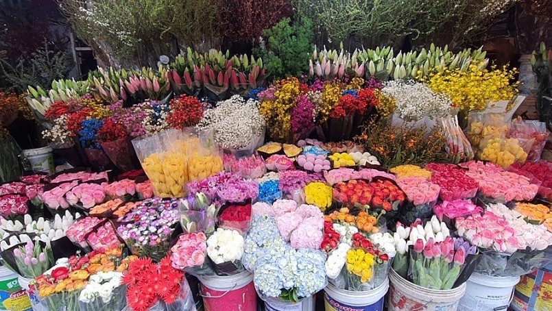 Những chợ hoa Tết sầm uất nhất Hà Nội, tấp nập đông như trẩy hội