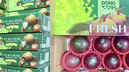 Đồng Xanh Farm đưa trái cây Việt chinh phục những thị trường khó tính trên thế giới