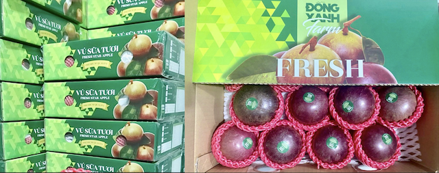Đồng Xanh Farm đưa trái cây Việt chinh phục những thị trường khó tính trên thế giới