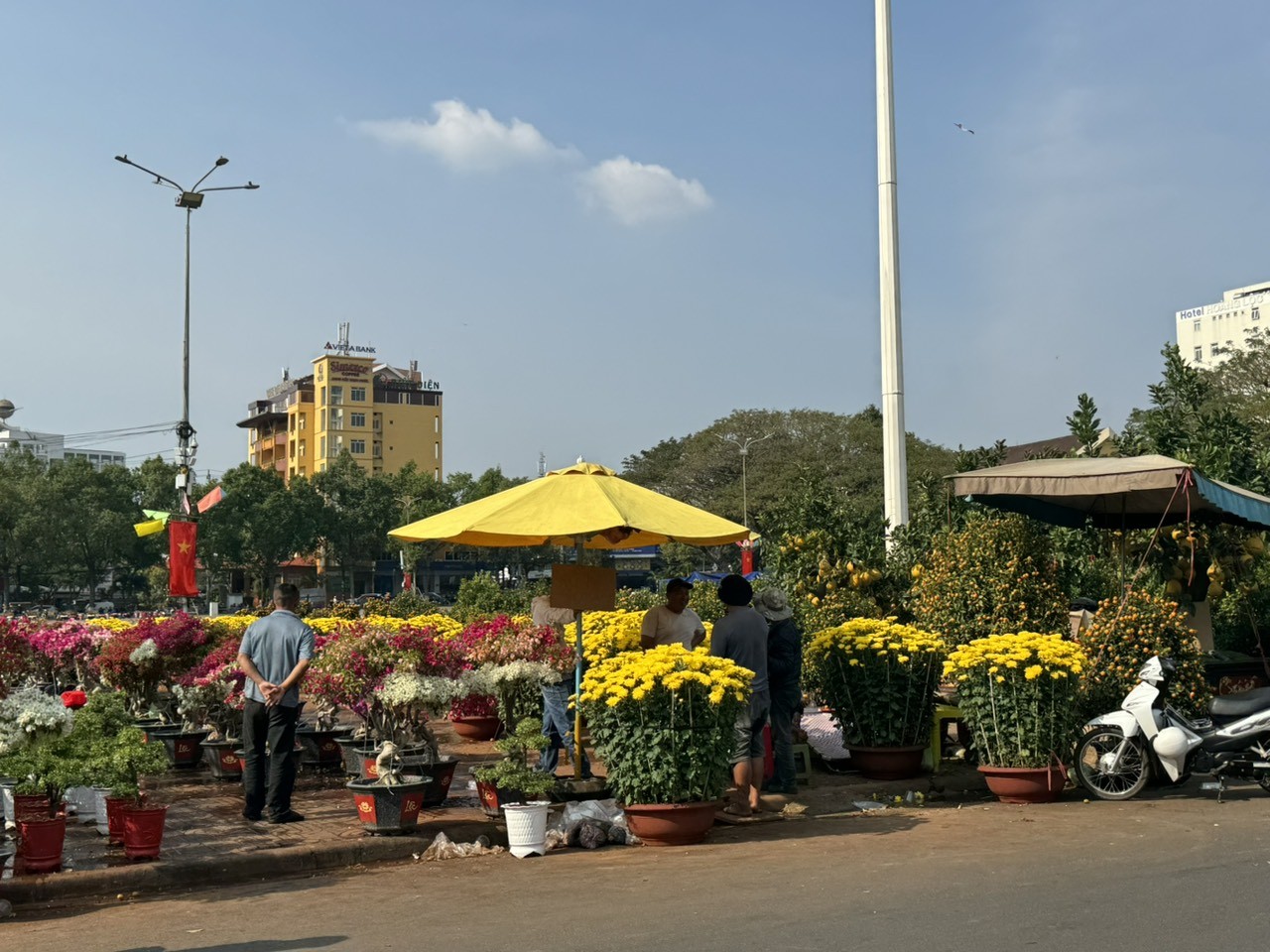 Đắk Lắk: Tiểu thương giảm giá hoa xuân, người mua lác đác