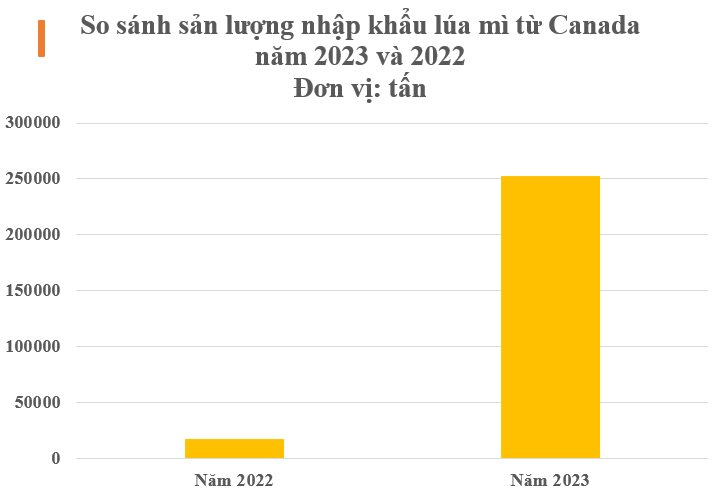 Nhập khẩu mặt hàng từ Canada đổ bộ Việt Nam tăng nóng hơn 1.000% trong năm 2023