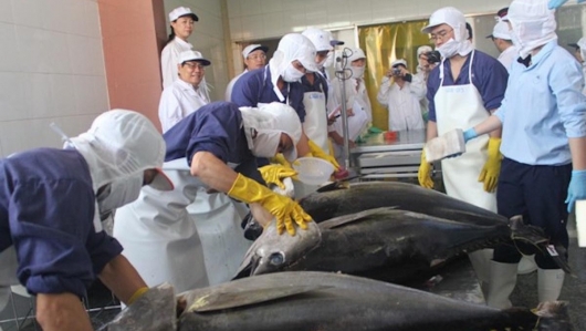 Trung Đông chiếm 10% kim ngạch xuất khẩu cá ngừ Việt Nam