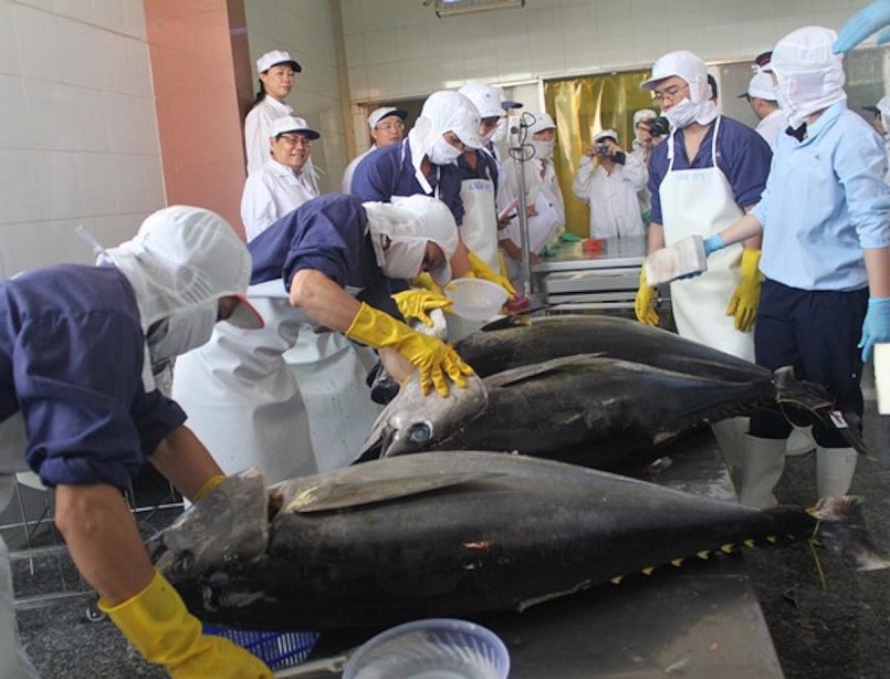 Trung Đông chiếm 10% kim ngạch xuất khẩu cá ngừ Việt Nam