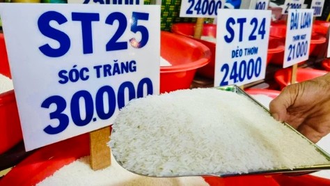 Hành trình số 1 thế giới của hạt gạo Việt Nam
