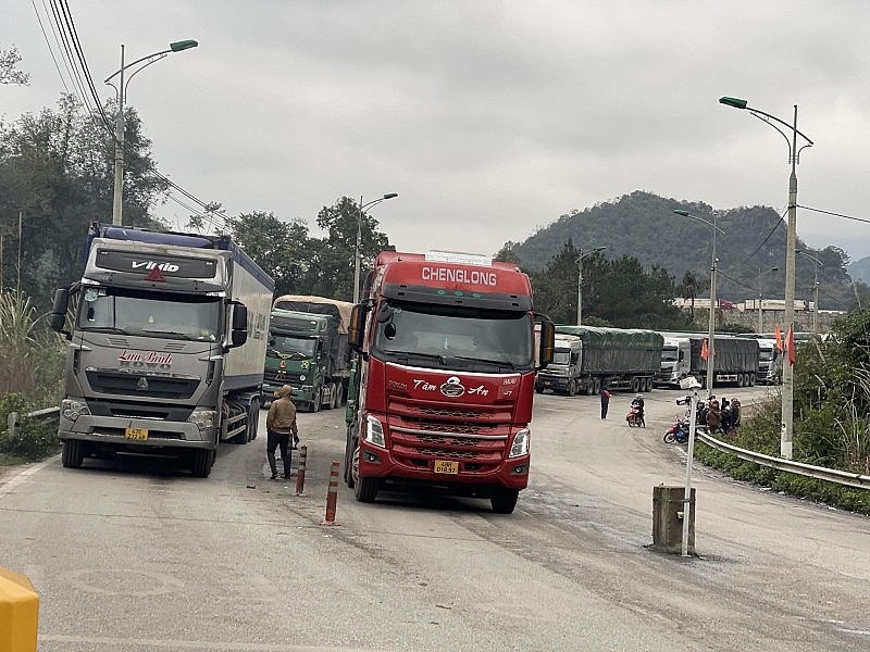 Xe chở hoa quả xuất khẩu chờ thông quan qua cửa khẩu Tân Thanh.