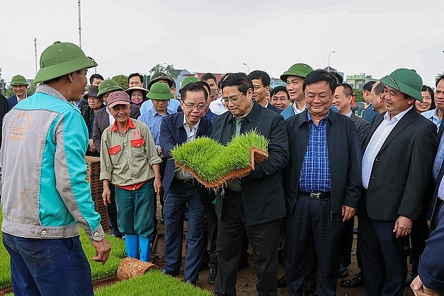 Thủ tướng thăm khu vực sản xuất mạ khay và cánh đồng gieo sạ bằng máy - Ảnh: VGP