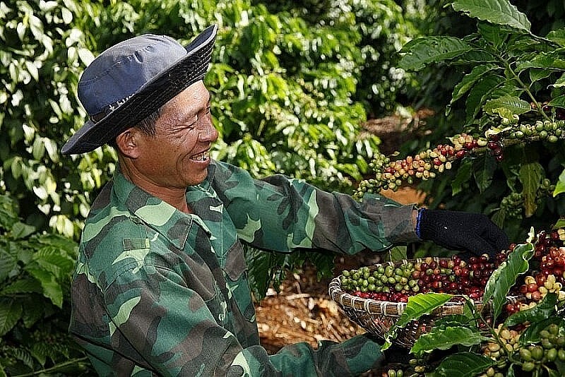 Ngành cà phê có cơ sở vững chắc cho mục tiêu xuất khẩu 2024.