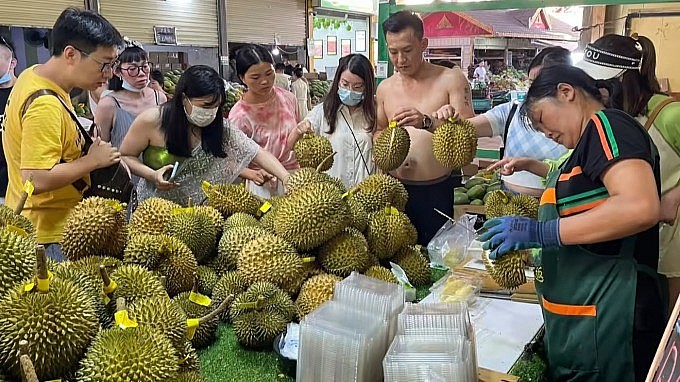 Một quầy bán sầu riêng ở chợ đầu mối trái cây tại Tây Song Bản Nạp, Vân Nam , Trung Quốc. Ảnh: Nikkei