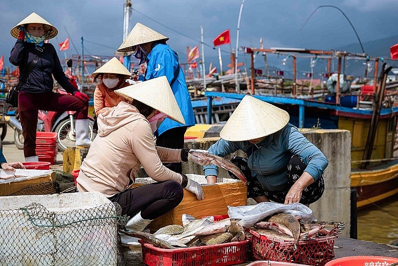 Ngư dân thu về nhiều loại hải sản có giá trị kinh tế cao.