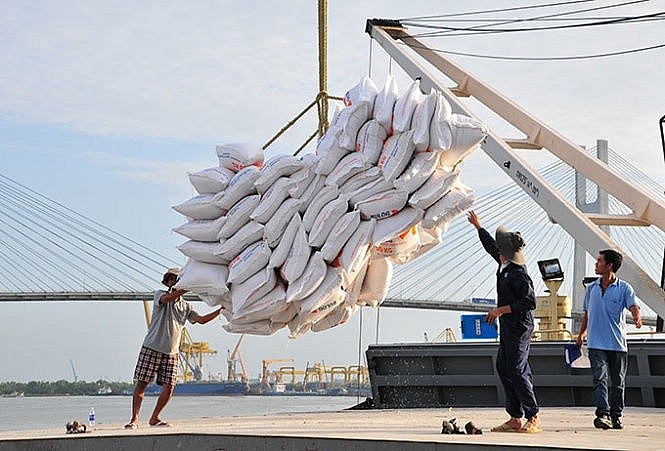 giá gạo 5% tấm xuất khẩu vẫn duy trì mức trên 600 USD/tấn