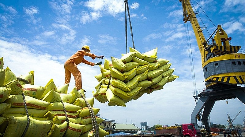 Xuất khẩu gạo sụt giảm vẫn thu về gần nửa tỷ USD.