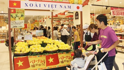 Giúp doanh nghiệp Việt đưa hàng hóa thâm nhập vào mạng lưới bán lẻ nước ngoài