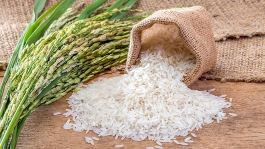 Xuất khẩu gạo năm 2024 - Cơ hội song hành cùng thách thức