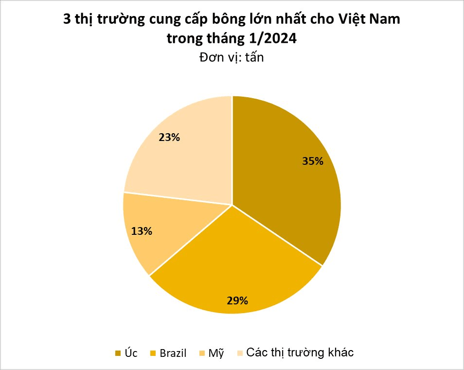 Việt Nam nhập khẩu bông lớn thứ 3 thế giới