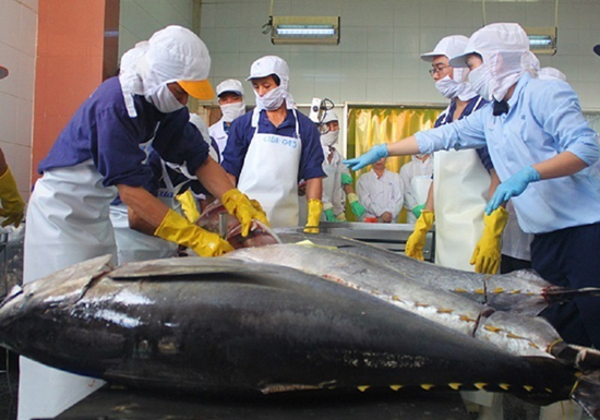 Khó khăn chồng chất xuất khẩu cá ngừ vẫn tăng 58%