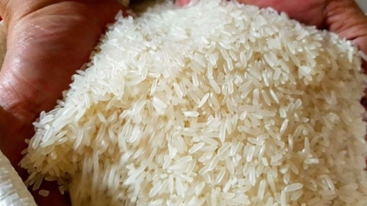 Khoảng lặng của hạt gạo Việt