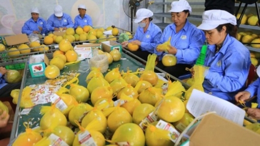 Nông sản Việt có nhiều cơ hội gia tăng thị phần tại thị trường Anh