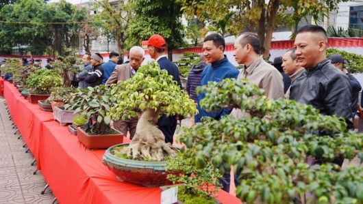 Hà Nội: Khai mạc Hội chợ triển lãm, các sản phẩm làng nghề mộc, sinh vật cảnh Canh Nậu năm 2024