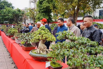 Hà Nội: Khai mạc Hội chợ triển lãm, các sản phẩm làng nghề mộc, sinh vật cảnh Canh Nậu năm 2024