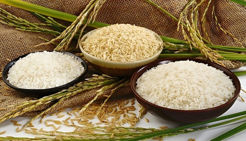 Giá lúa gạo hôm nay duy trì ổn định.