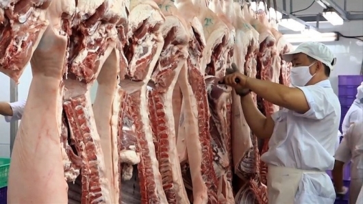 Cơ hội để doanh nghiệp thúc đẩy xuất khẩu thịt gia cầm sang thị trường Trung Quốc