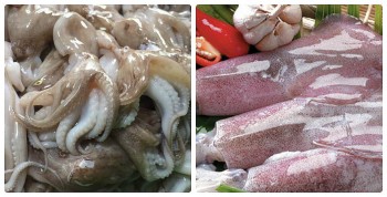 Hàn Quốc là thị trường nhập khẩu mực, bạch tuộc lớn nhất của Việt Nam