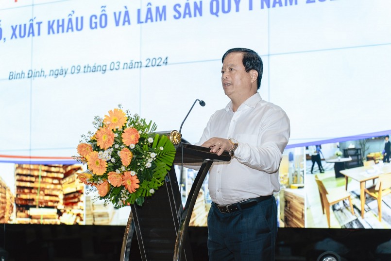 Ông Nguyễn Tuấn Thanh - Phó Chủ tịch UBND tỉnh Bình Định phát biểu tại Hội nghị.