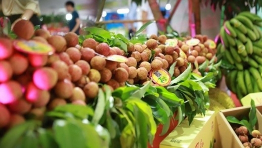 Việt Nam vượt Chile đứng thứ 2 về xuất khẩu rau quả sang Trung Quốc