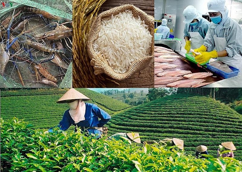 Bảo hộ thương hiệu: Giấy thông hành để  nông sản Việt vươn xa