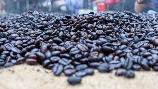 Xuất khẩu cà phê có thể đạt 5 tỷ USD trong năm 2024