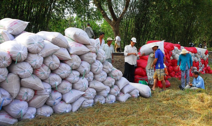 Ngân hàng Nhà nước yêu cầu đẩy mạnh cho vay thu mua, kinh doanh lúa, gạo.
