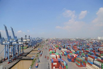2 tháng đầu năm 2024, TP. Hồ Chí Minh dẫn đầu cả nước về xuất khẩu hàng hóa