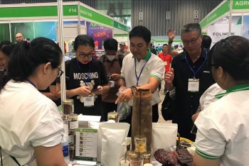 Triển lãm HortEx Vietnam 2024: Cơ hội phát triển ngành rau, hoa, quả Việt Nam